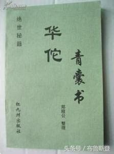 青囊|《青囊經》原文及其翻譯.陳益峰